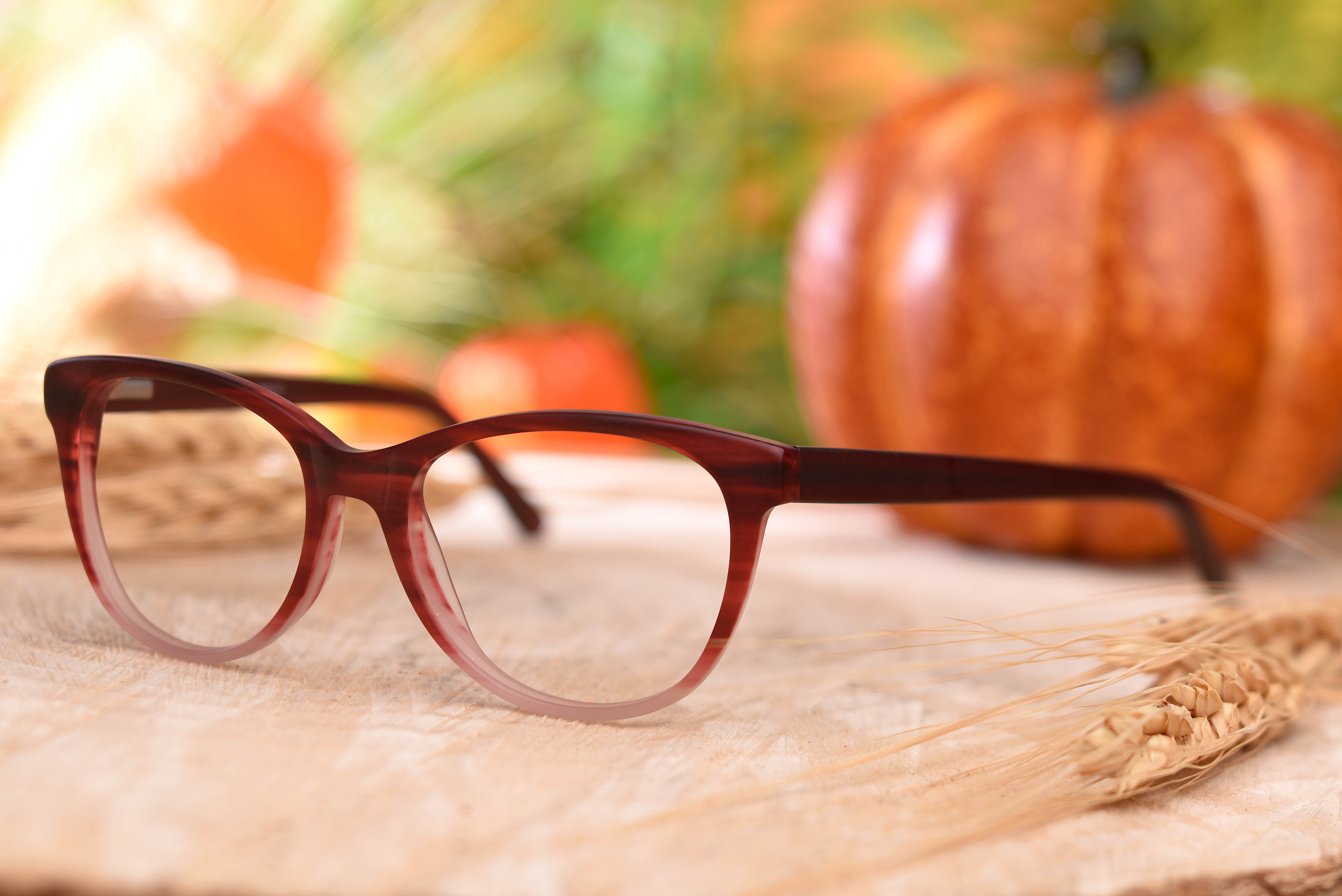 Fall%20Photo%20%28v840%20c2%29